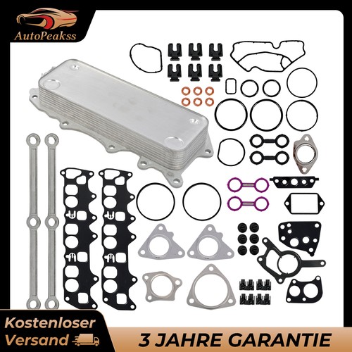 Dichtung reparatur satz inkl - dichtung, +
